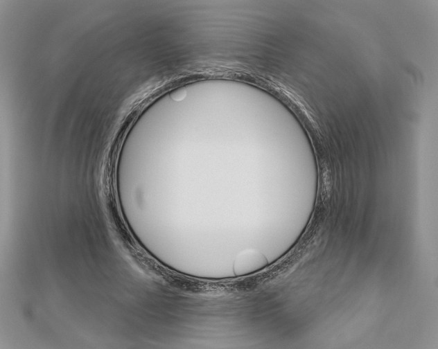 X0000113060682200908280948