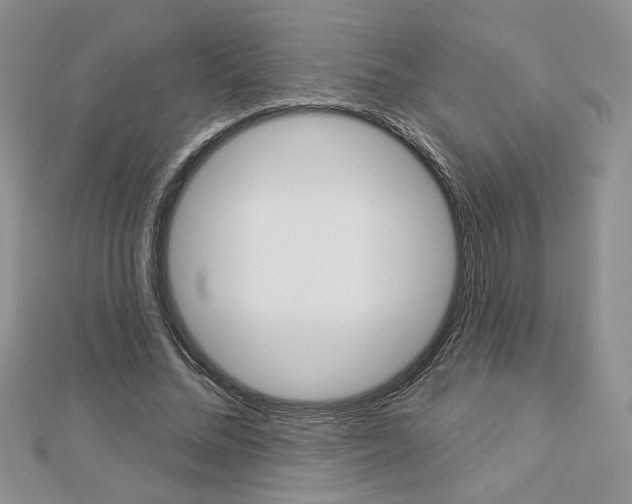 X0000113060684200908280948