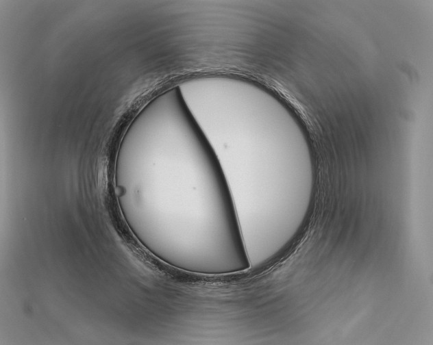 X0000113060685200908280948