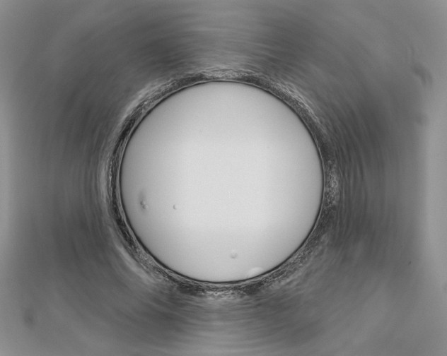X0000113060686200908280948