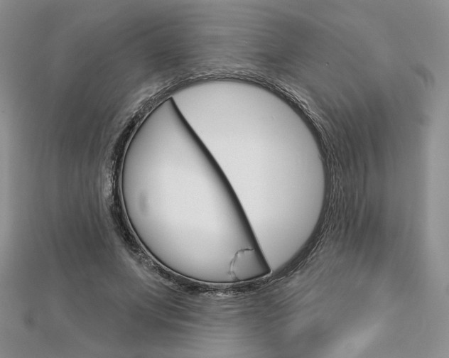 X0000113060687200908280948