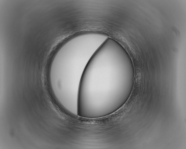 X0000113060688200908280948