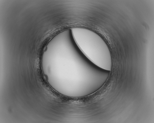 X0000113060689200908280948