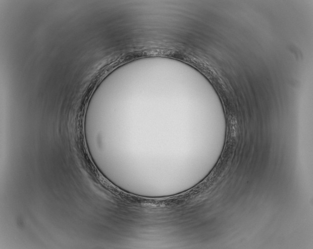 X0000113060690200908280948