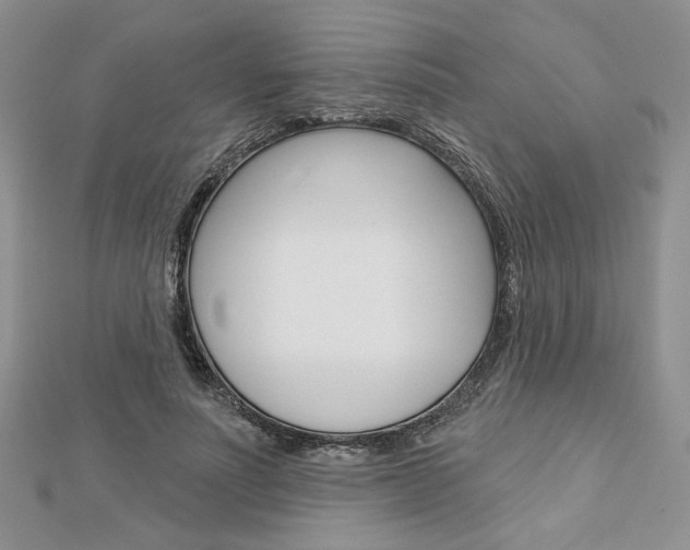 X0000113060691200908280948