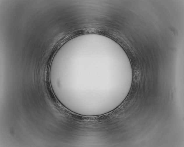 X0000113060694200908280948