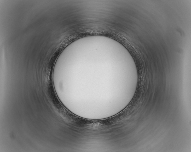X0000113060695200908280948