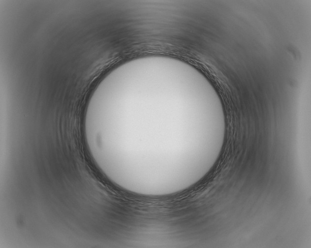 X0000113060696200908280948