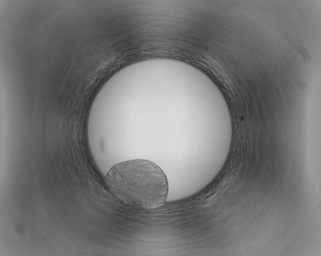 X0000113060697200908280948