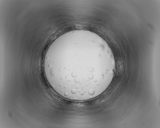 X0000113060698200908280948