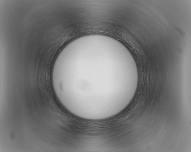 X0000113060700200908280948