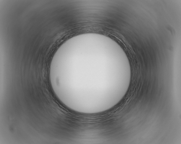 X0000113060701200908280948