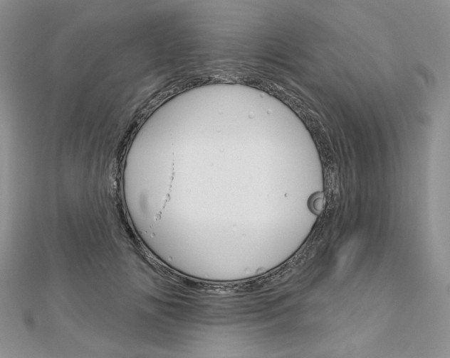 X0000113060702200908280948