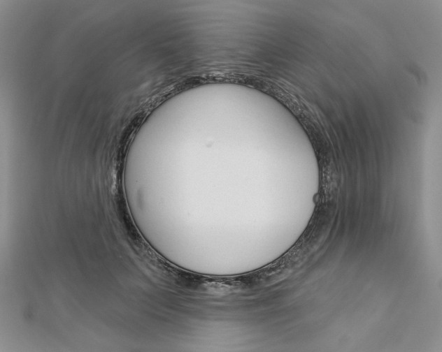 X0000113060703200908280948