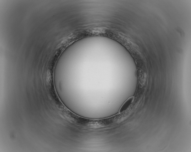 X0000113060704200908280947