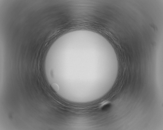 X0000113060705200908280947