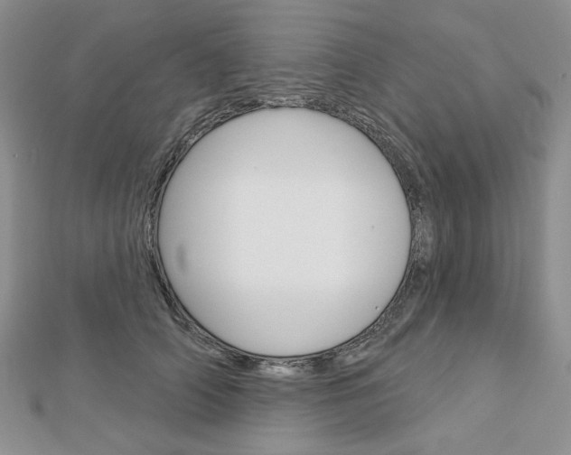 X0000113060706200908280947