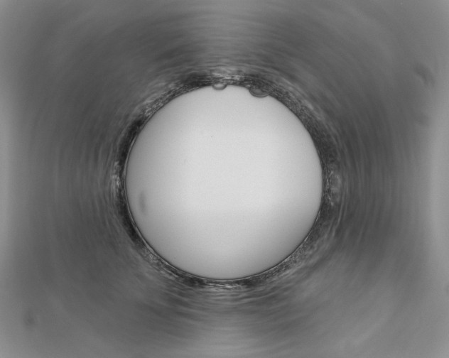 X0000113060707200908280947