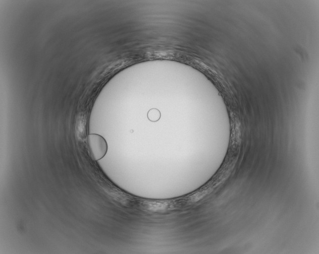 X0000113060709200908280947