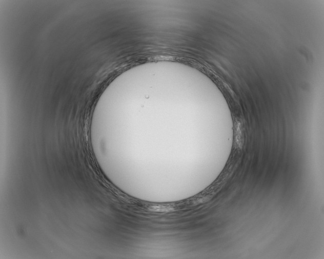 X0000113060714200908280947