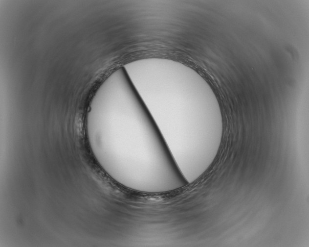 X0000113060715200908280947