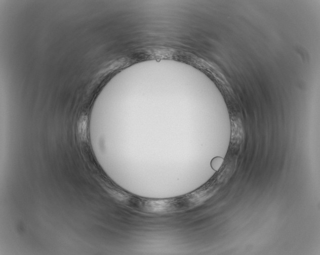 X0000113060717200908280947