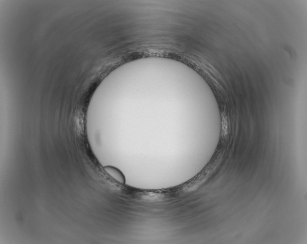 X0000113060718200908280947
