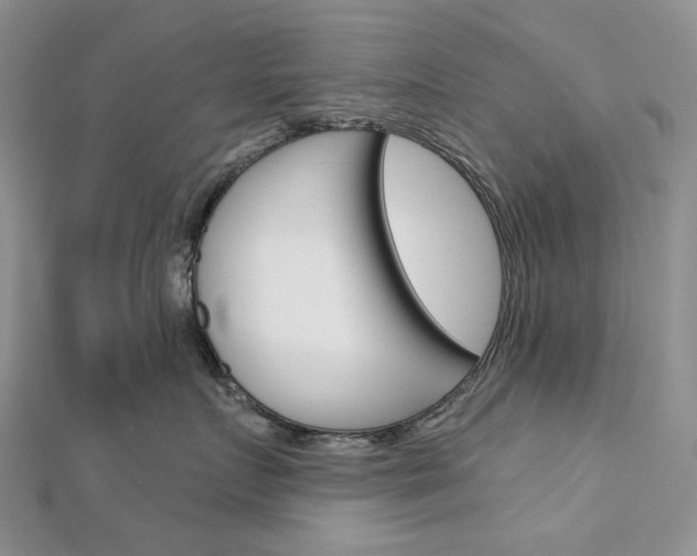X0000113060719200908280947