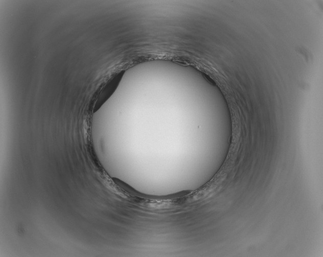 X0000113060720200908280947