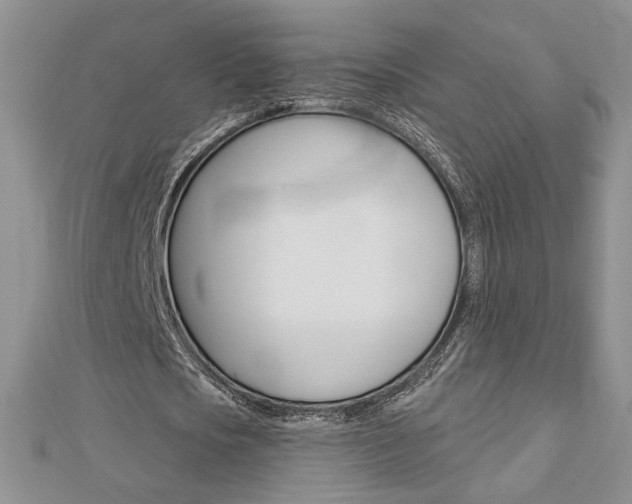 X0000113060721200908280947