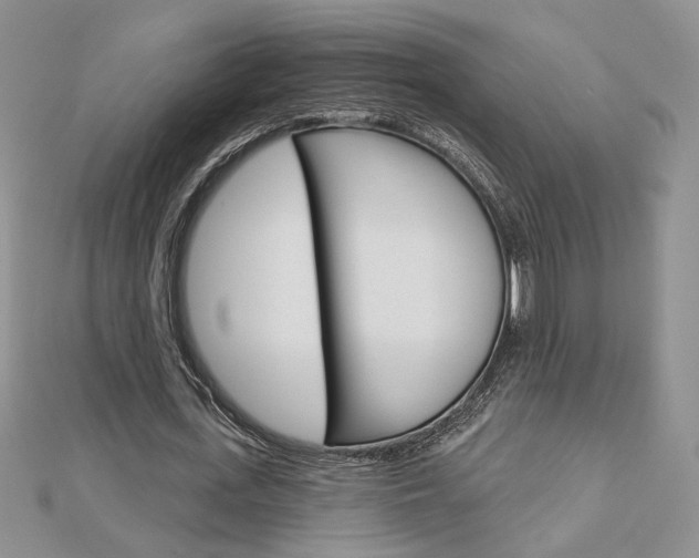 X0000113060723200908280947