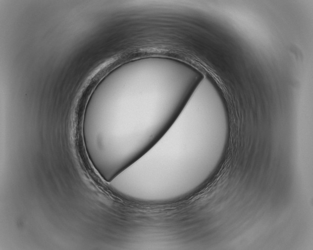 X0000113060724200908280947