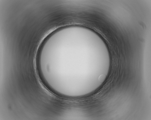 X0000113060726200908280947
