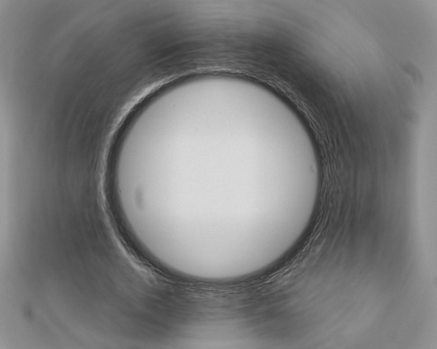 X0000113060728200908280947