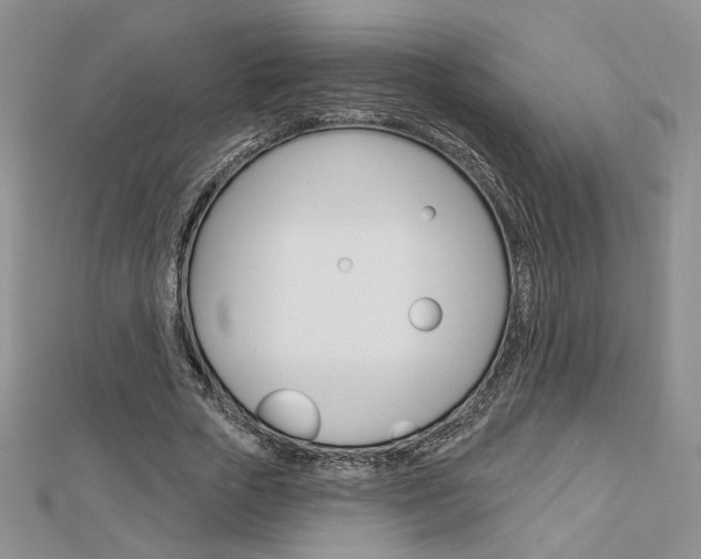 X0000113060729200908280947