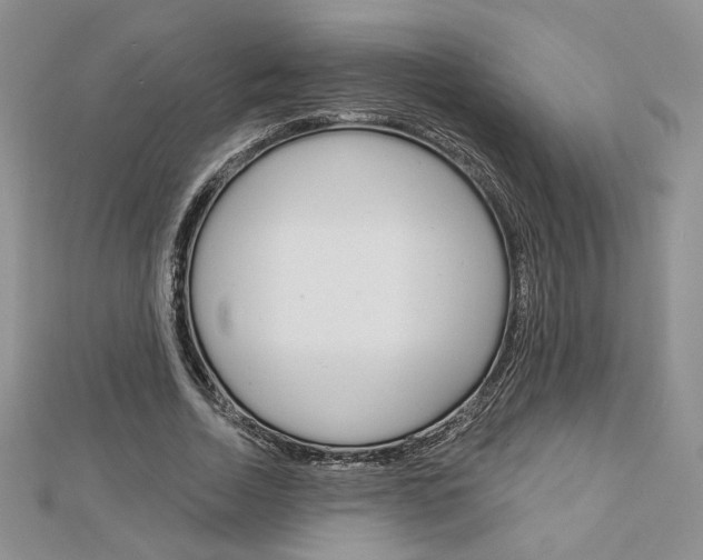 X0000113060730200908280947