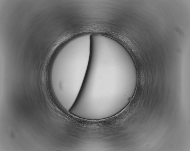 X0000113060731200908280947