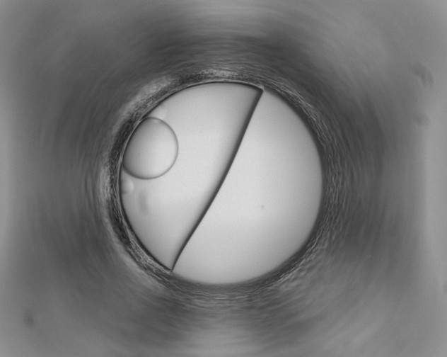 X0000113060734200908280947