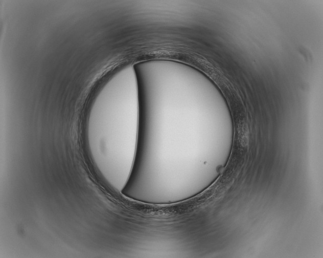 X0000113060735200908280947