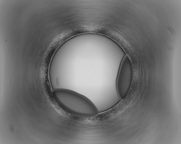 X0000113060736200908280947