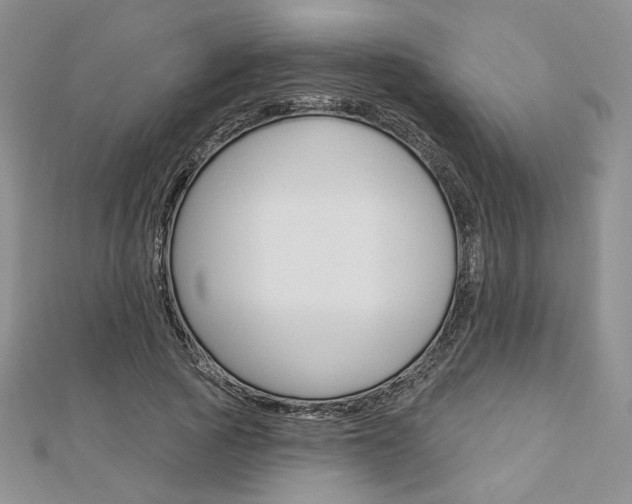 X0000113060737200908280947