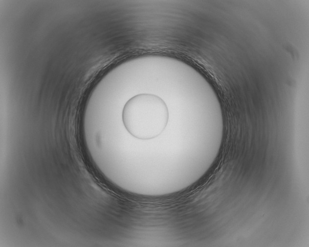X0000113060740200908280947
