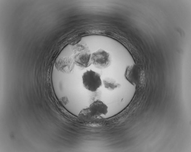 X0000113060741200908280947