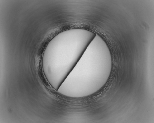 X0000113060742200908280947