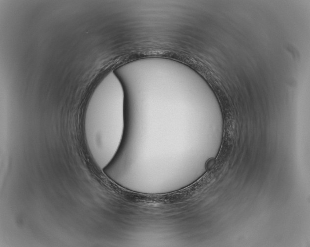 X0000113060743200908280947