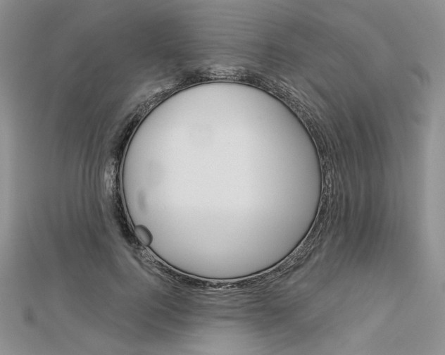 X0000113060744200908280947