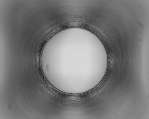 X0000113060745200908280947