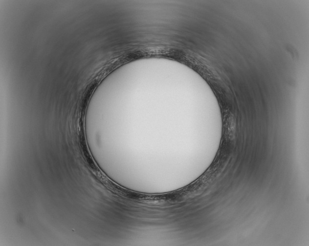 X0000113060746200908280947
