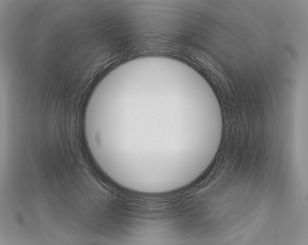 X0000113060748200908280947