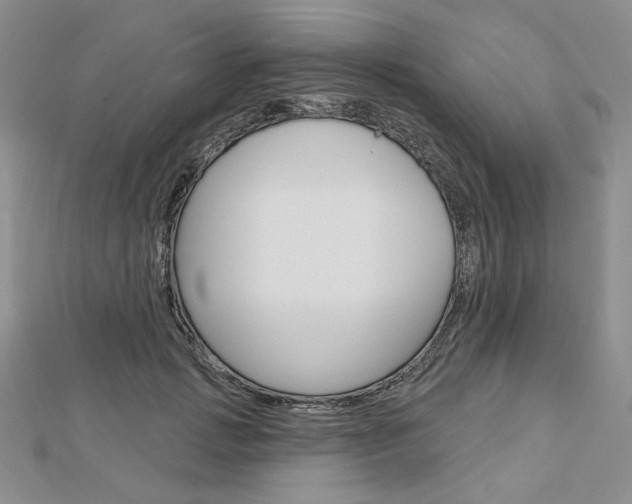 X0000113060749200908280947